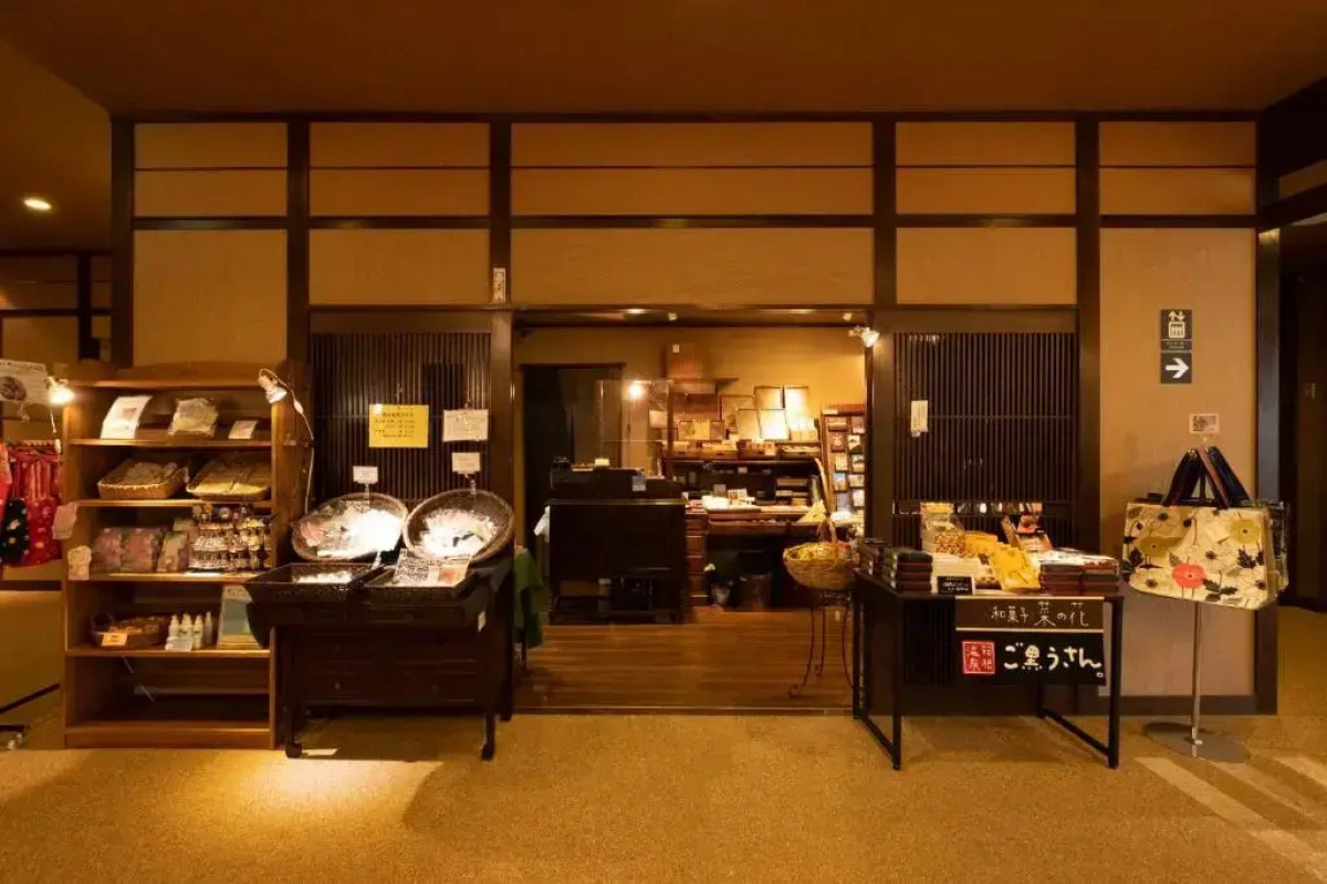 Отель Mount View Hakone