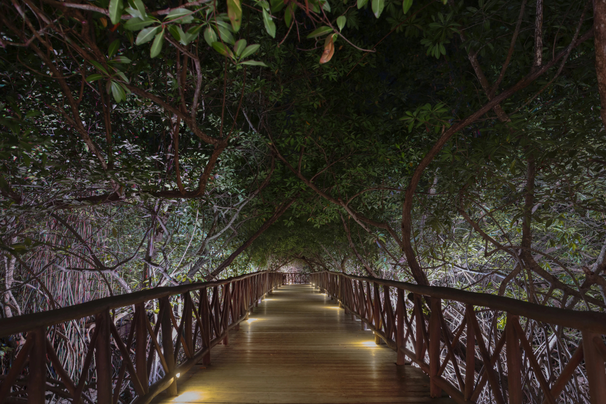 Catalonia Royal Tulum  Adults Only - All Inclusive