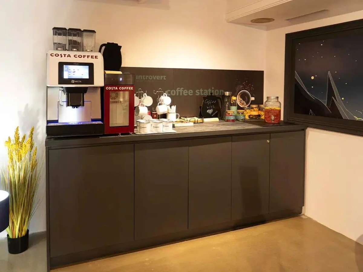 Introvert Maria Luisa