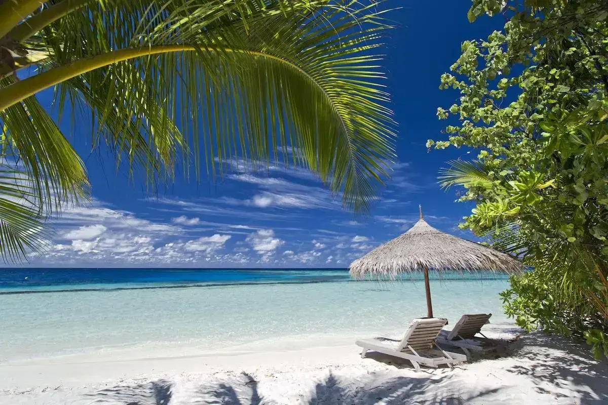 Курорт Gangehi Island 