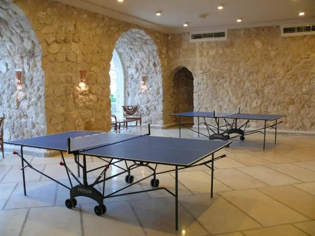 Pickalbatros Citadel Resort