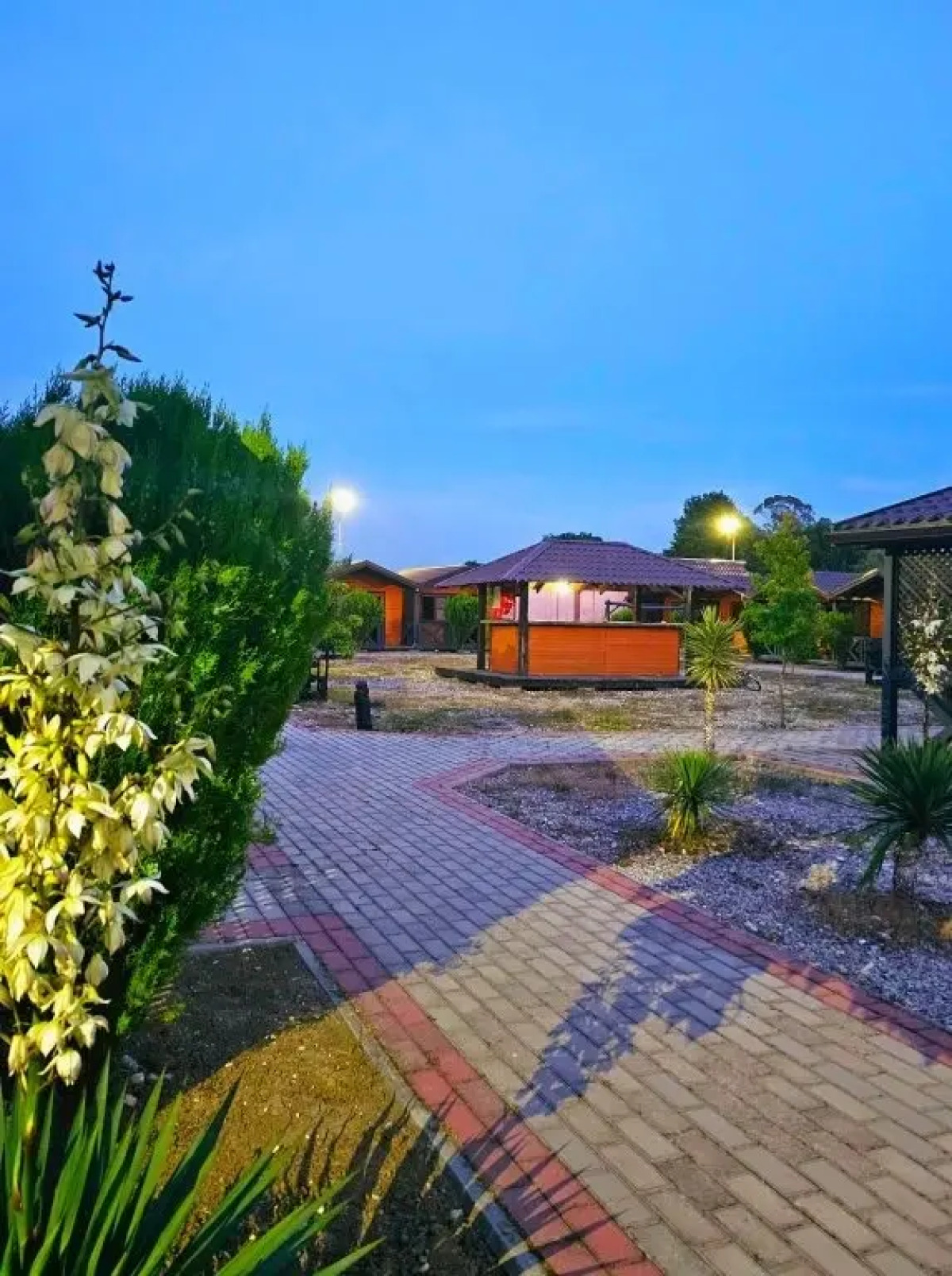 Brigantina(Tsandripsh)