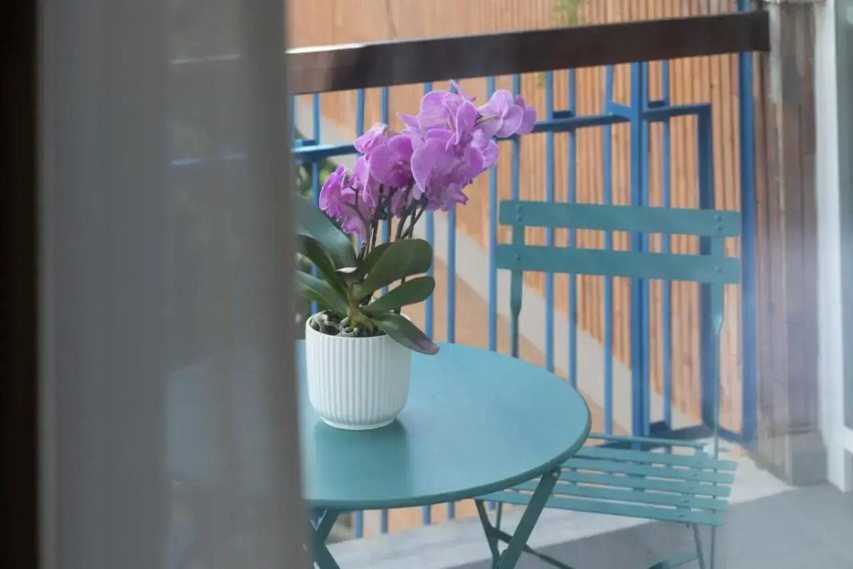 Roof Garden Zaccardi