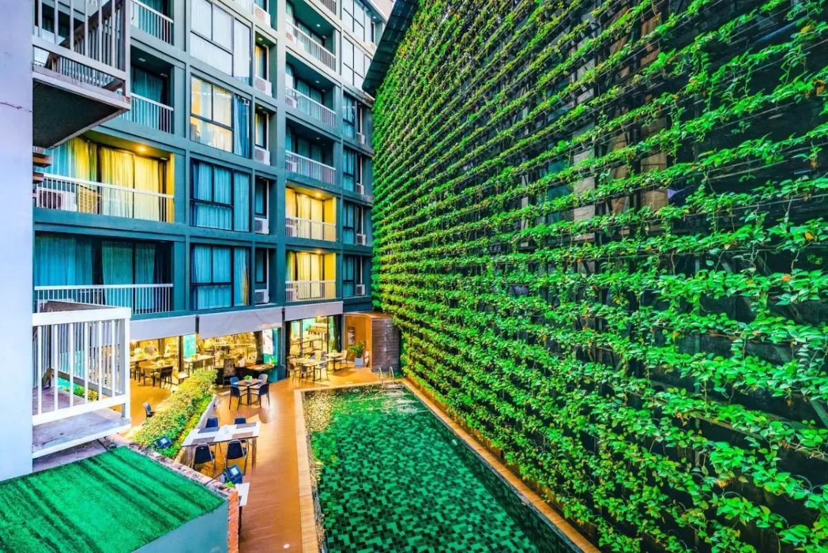 Cross Vibe Chiang Mai Decem