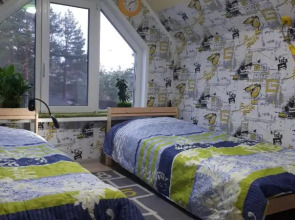 Сосновый бор