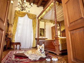 Hotel U Prince Prague by BHG