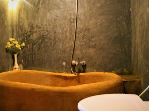 Under the coconut tree - Hostel