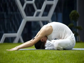 Sun Flower Hotel and Residence