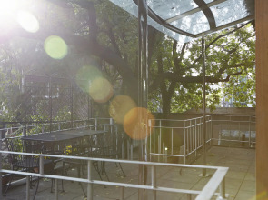 Jiwoljang Guest House