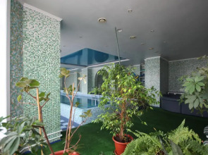 Надежда и К