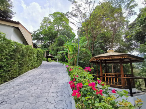 On The Hill Karon Resort