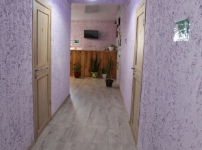 Роза ветров