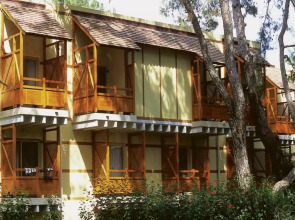 Robinson Camyuva - Adults only