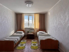 Кедр Золотой