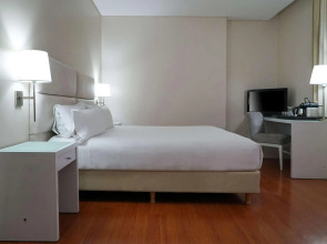 NH Mendoza Cordillera