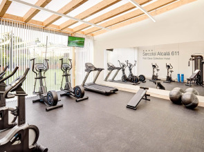 Отель Sercotel Alcalá 611
