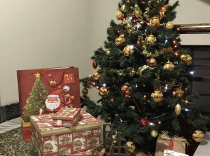 Residenza il Magnifico