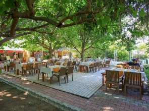 Cirali Zakkum Bungalow