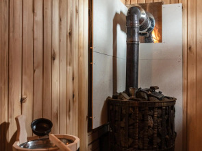 Вили Улей Ока