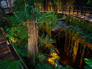 The Reef Playacar Beach Resort & Spa