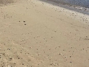 Karaöz Sapphire Bungalows