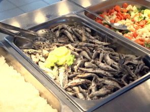 Sagitta All inclusive light