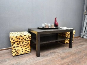 Hotel Diana na Akademicheskoy