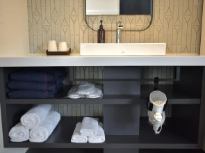 The Lively Osaka Honmachi