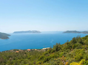 Golden Rose Suit Pension