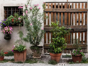 Buonocore Guesthouse