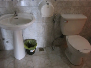 Hollywood Drive-In Hotel