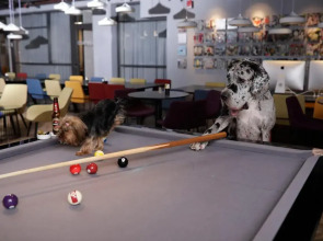 Link hotel & Hub By Dan Hotels