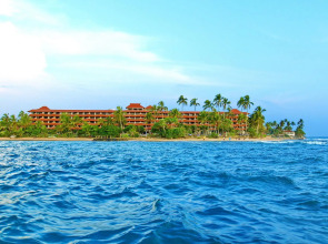 Hikka Tranz by Cinnamon