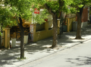 Actinia Accomodation