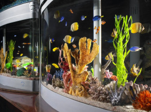 Anaheim Majestic Garden Hotel