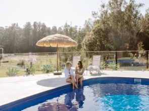 Salt at South West Rocks