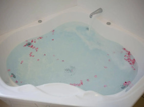 162 Kings of Riccarton Motel