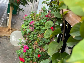 Hotel emblemático Hi Suites