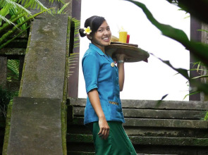 Nick's Hidden Cottages