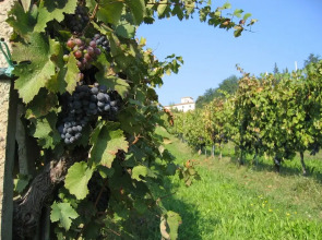 Agriturismo La Moraia