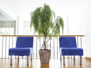 Bcn Urbany Hotels Del Comte