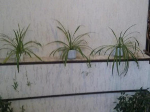 Отель Парус