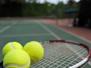 Gypsophila Club Marine