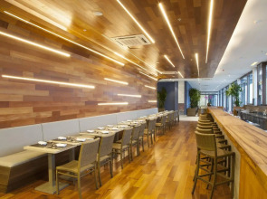 Prodigy Santos Dumont by Wish