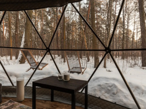 Вили Улей Ока