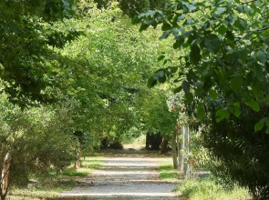 Olympios Zeus Hotel Bungalows