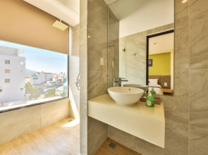 Daisy Flower Nha Trang