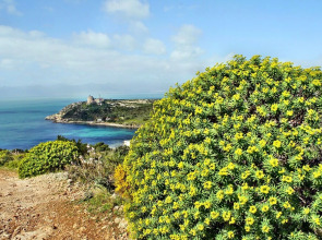 12 Ala Birdi Cottage 150m From The Beach