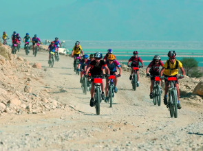 Daroma by Isrotel Collection