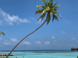 Гостевой дом Courtyard